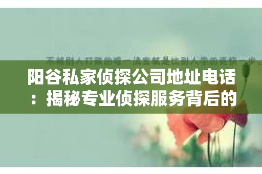 阳谷私家侦探公司地址电话：揭秘专业侦探服务背后的故事