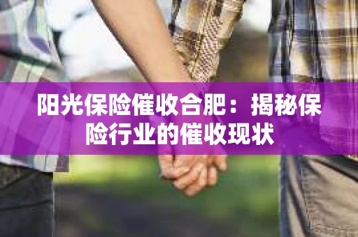 阳光保险催收合肥：揭秘保险行业的催收现状