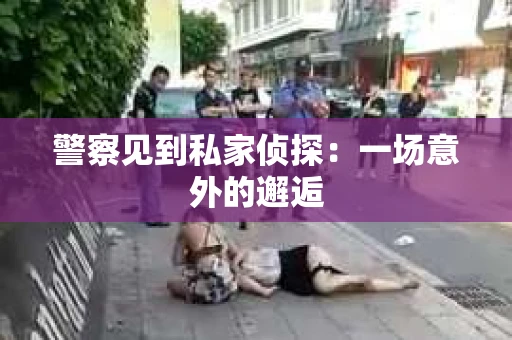 警察见到私家侦探：一场意外的邂逅