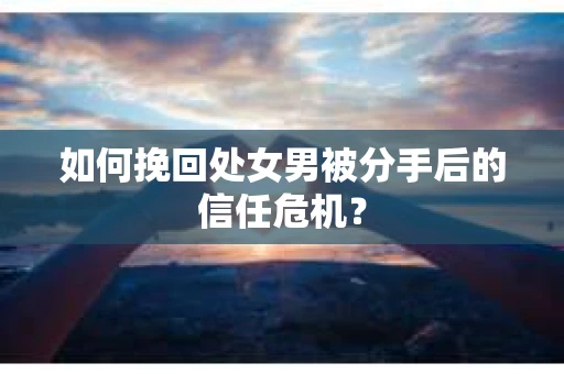 如何挽回处女男被分手后的信任危机? 如何挽回处女男被分手后的信任危机?